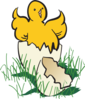 Baby Chick Hatching Clip Art